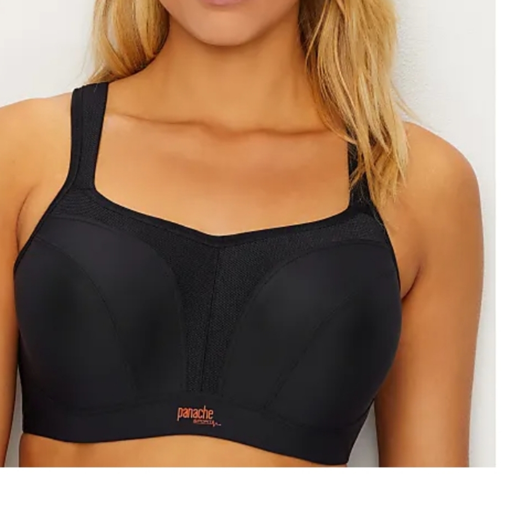 Pinache High Impact Underwire Sport Bra DD